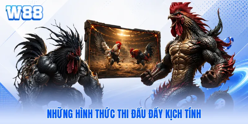 Những hình thức thi đấu đầy kịch tính