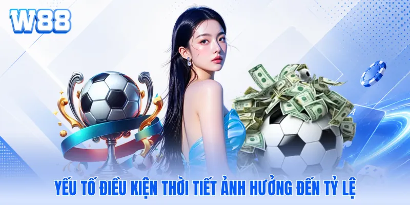 Yếu tố điều kiện thời tiết ảnh hưởng đến tỷ lệ